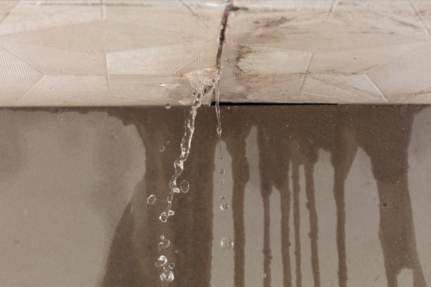 Professional Structural Drying technician working in Heath, TX